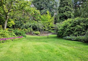 Optimiser l'expérience du jardin à Puilly-et-Charbeaux